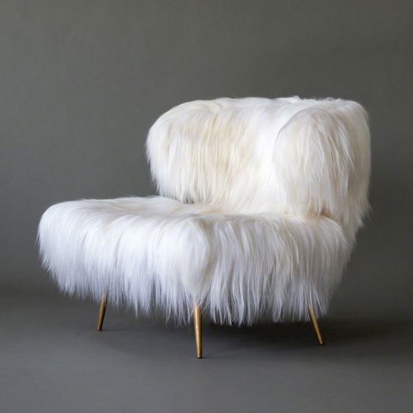 woolly bella with bronze legs by videre licet