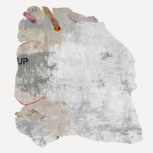 Vesterbro Oriole Dr By Calle Henzel