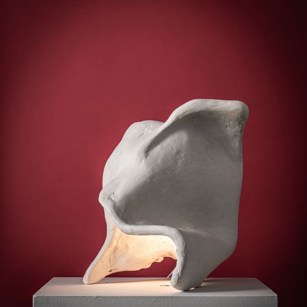 Castimonia Corporis Lll