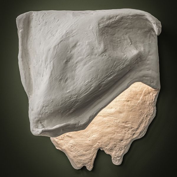 Castimonia Corporis LV