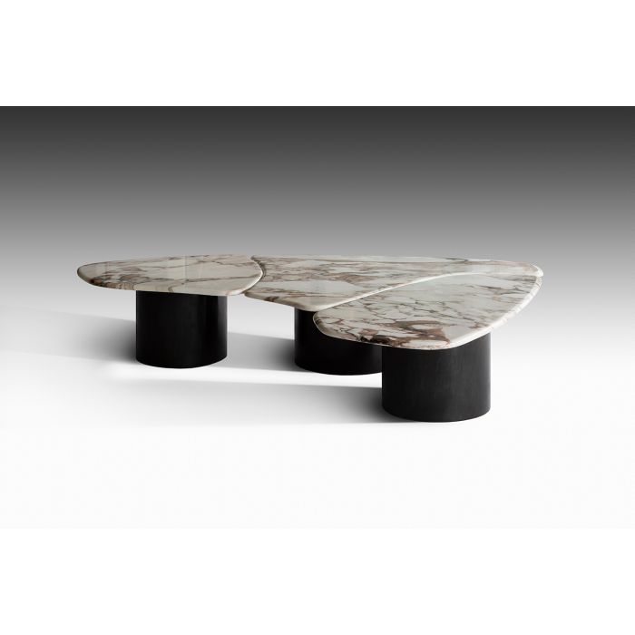 Tectra Coffee Table by OKHA