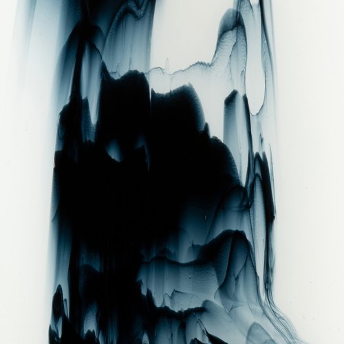 VIDERE LICET / MELTFORMS