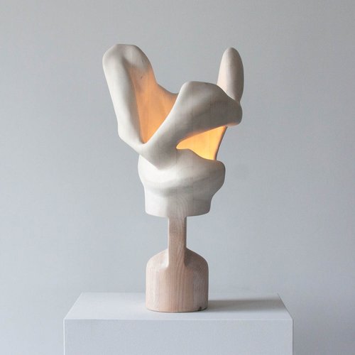 VINCENT POCSIK / ANATOMICAL TORSION